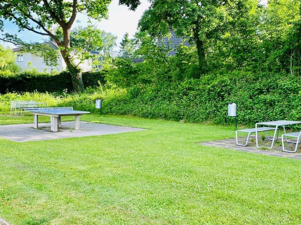 Panoramic Fewo Seeschwalbe - Pool - Familien - Strandnah - Hunde ジールクスドルフ エクステリア 写真